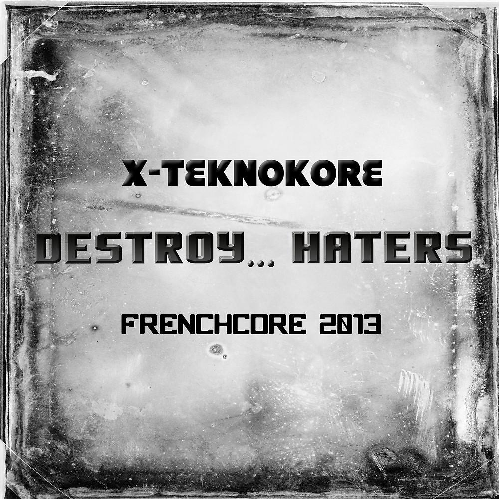 Постер альбома Destroy Haters