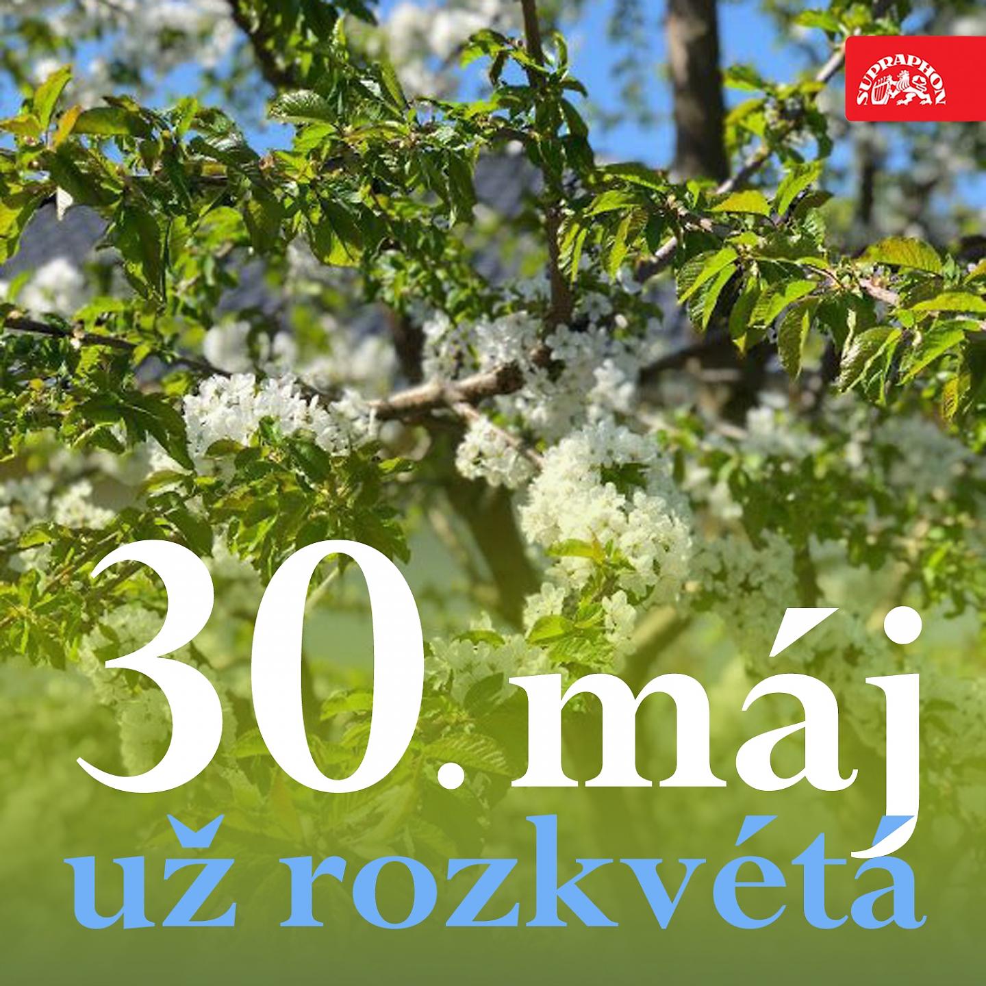 Постер альбома 30. Máj Už Rozkvétá