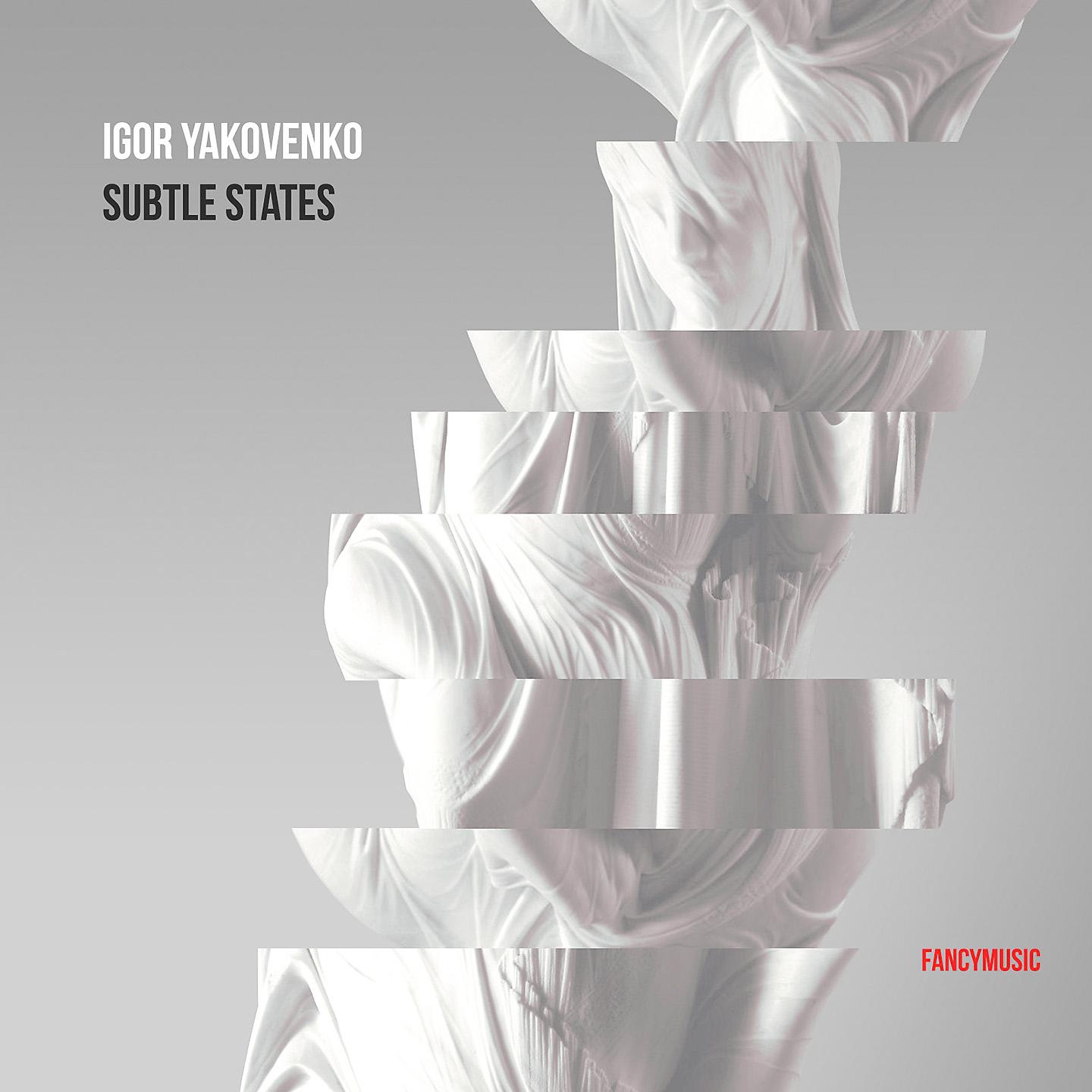 Постер альбома Igor Yakovenko: Subtle States