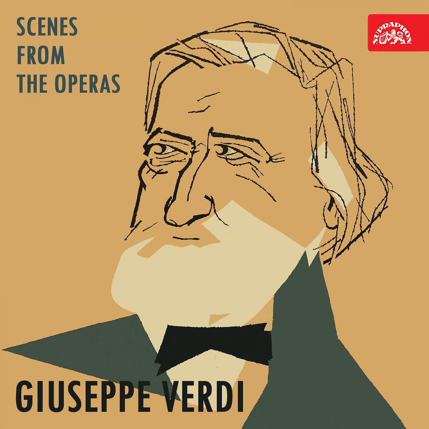 Постер альбома Verdi: Scenes From The Operas