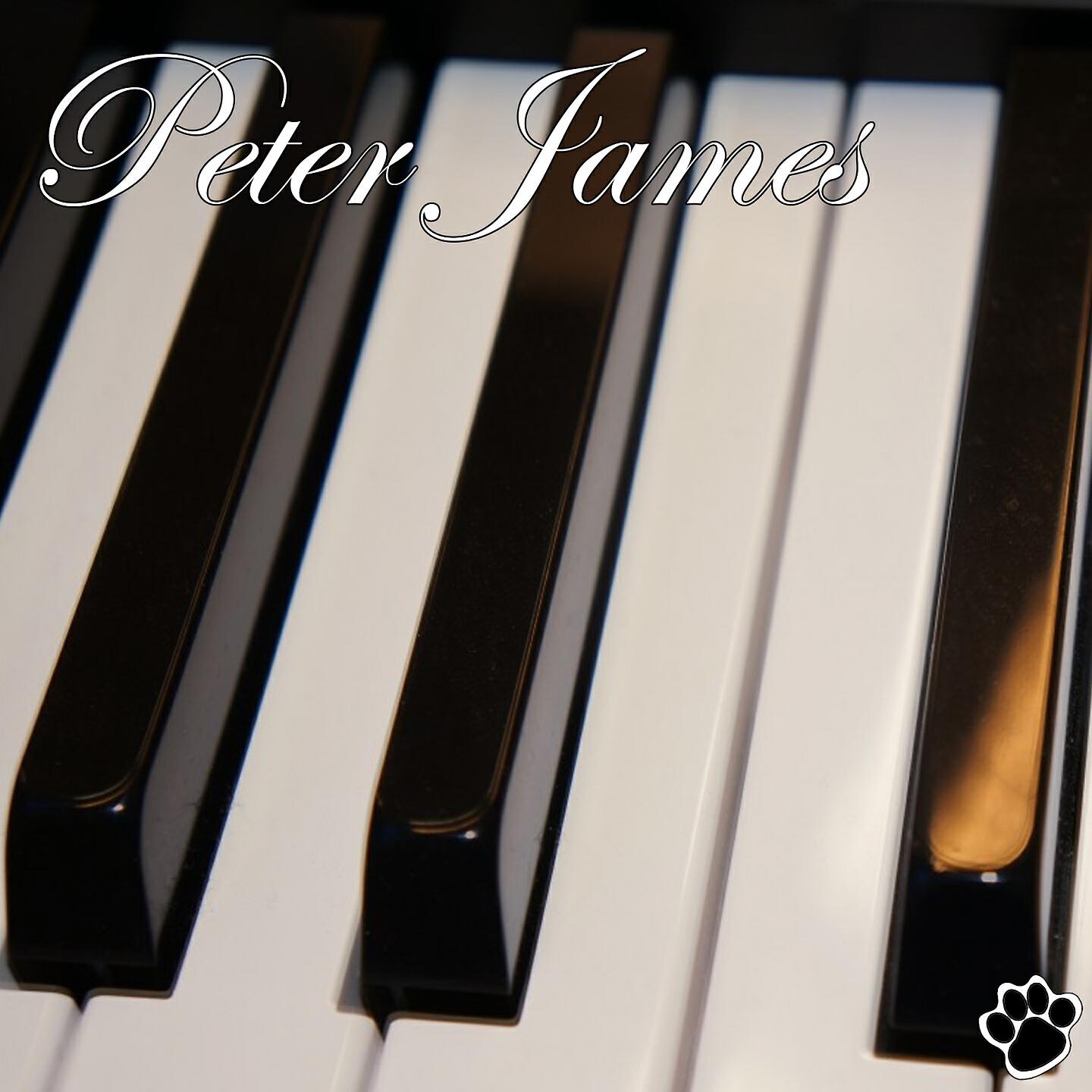 Peter James - Say Something (Adagio)