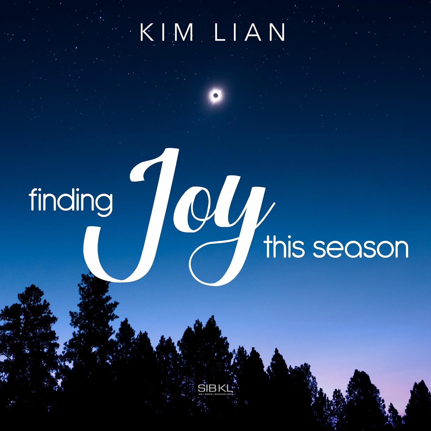 Постер альбома Finding Joy This Season