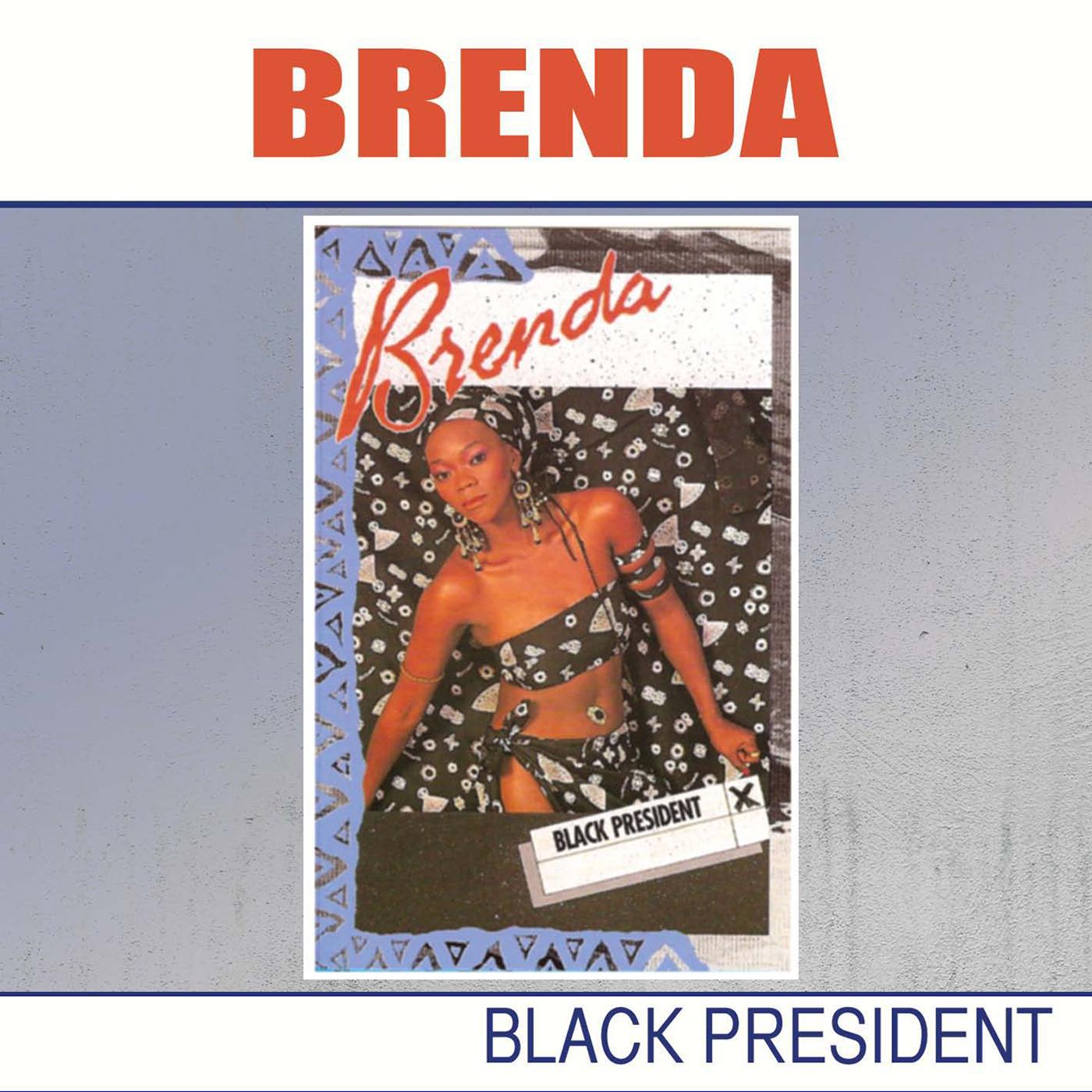 Постер альбома Black President