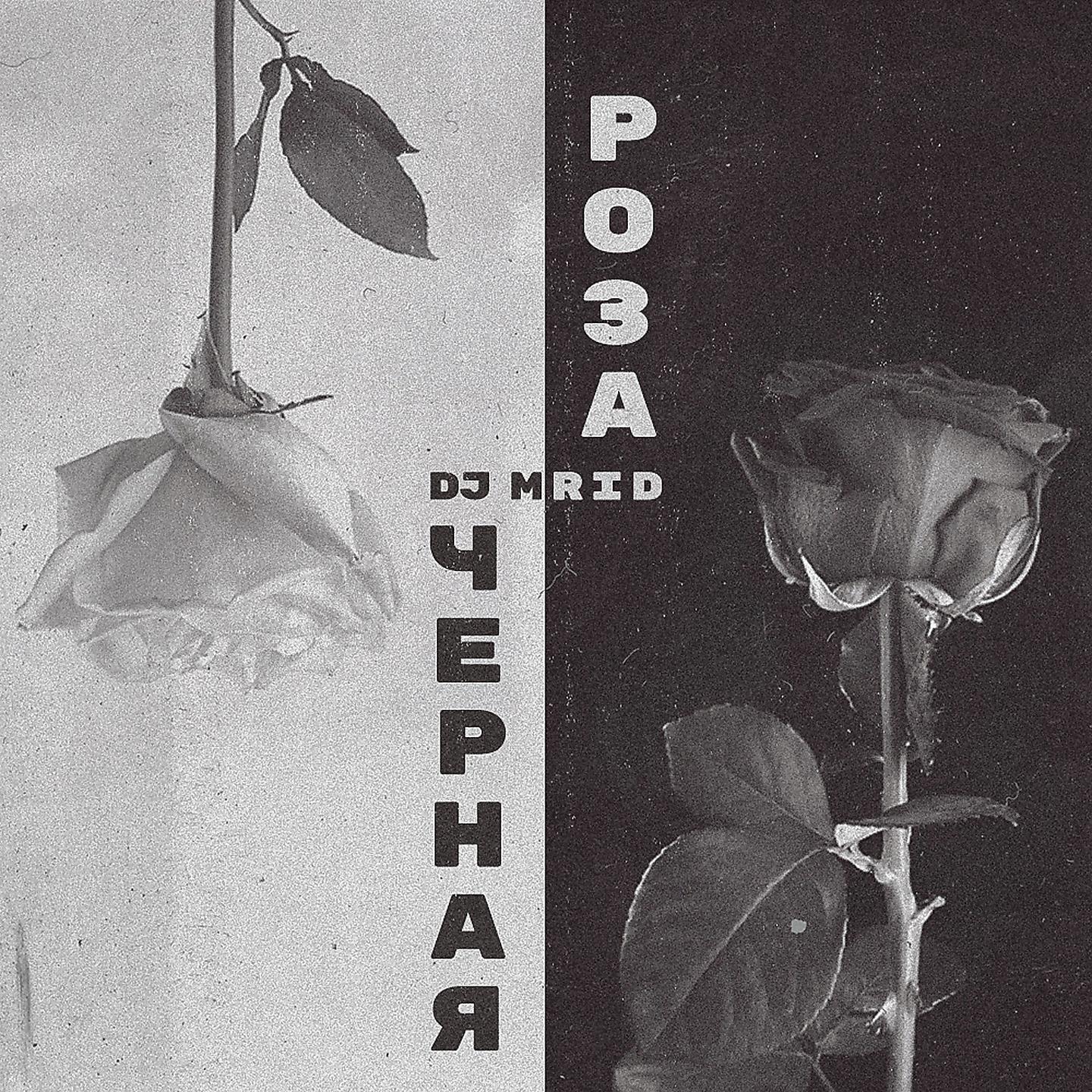 Постер альбома Чёрная роза
