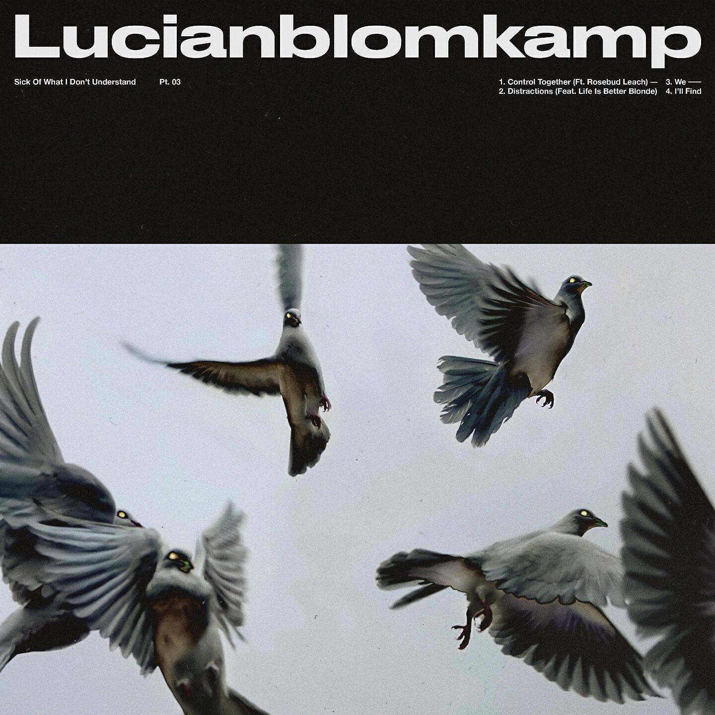 LUCIANBLOMKAMP - Distractions