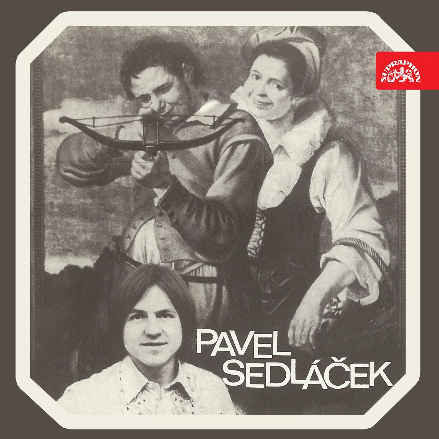 Постер альбома Pavel Sedláček