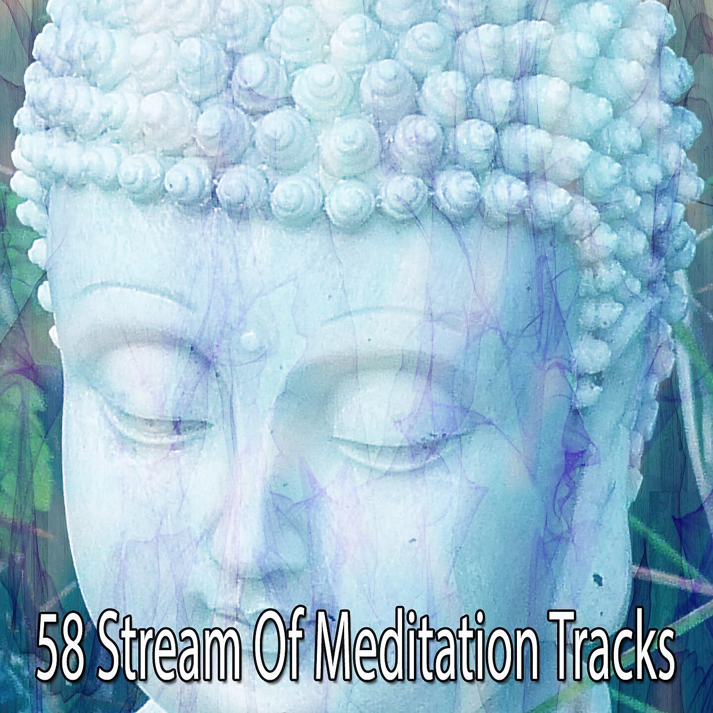 Meditation Awareness - Aquatic Embrace