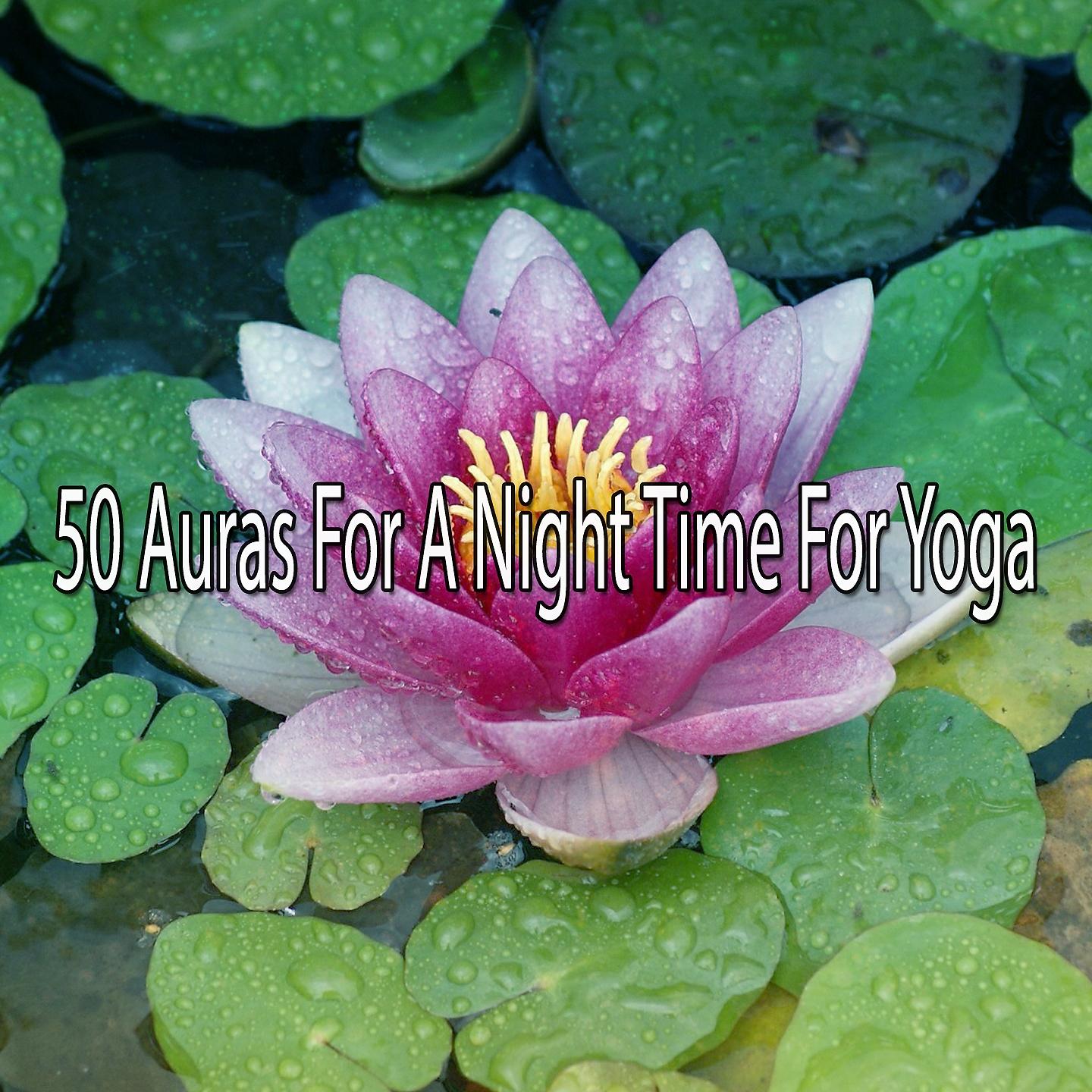 Постер альбома 50 Auras For A Night Time For Yoga