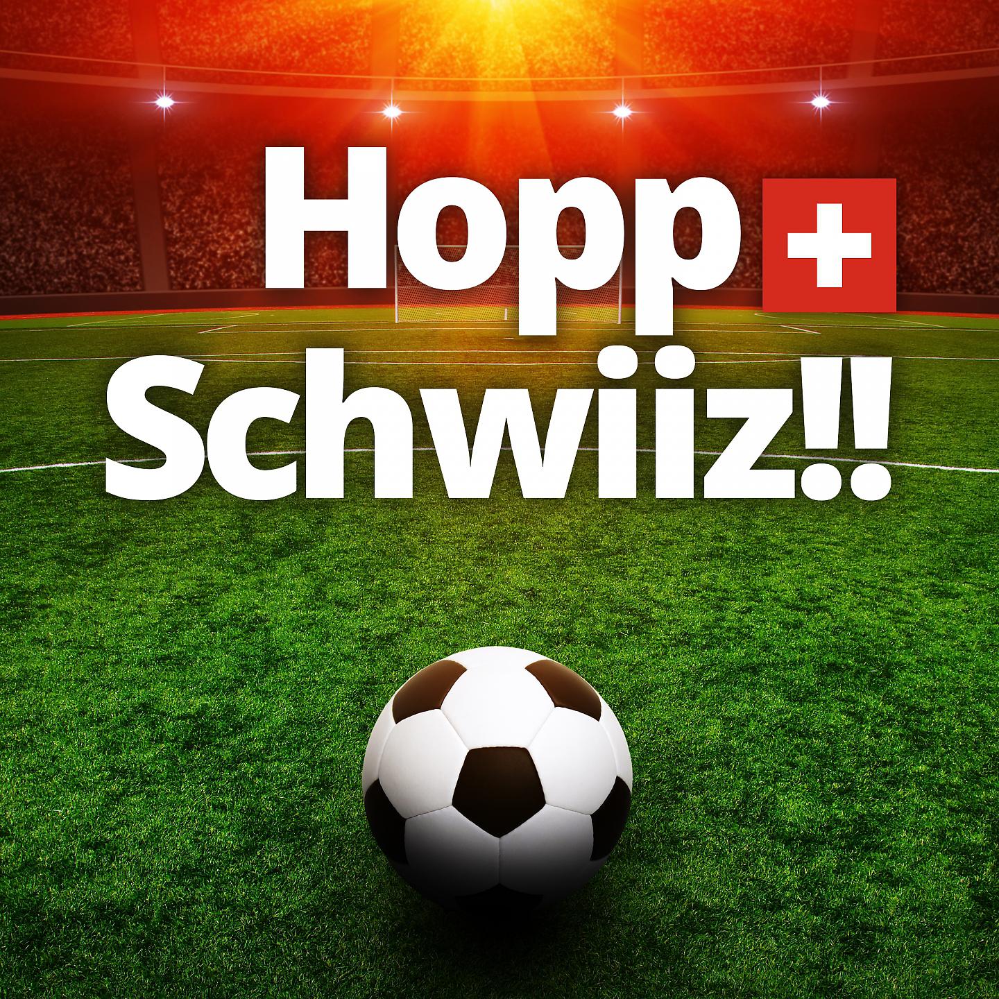 Постер альбома Hopp Schwiiz!!