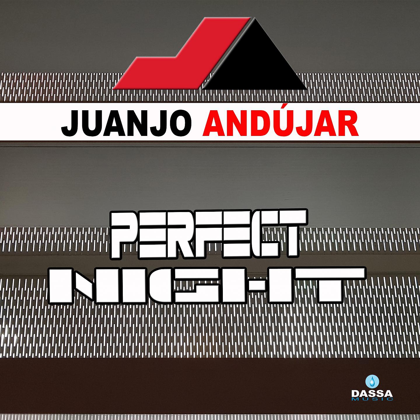 Постер альбома Perfect Night