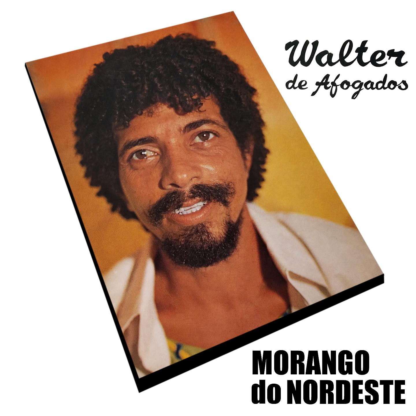 Постер альбома Morango do Nordeste