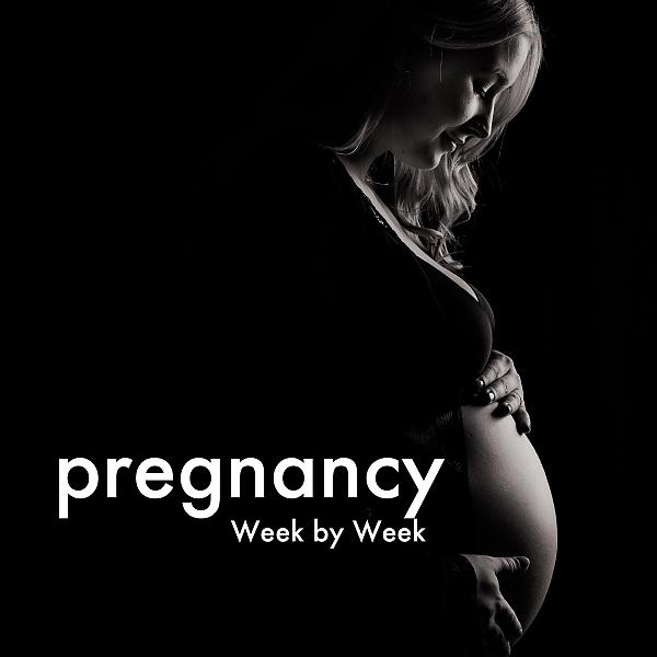 Постер альбома Pregnancy Week by Week: 20 Lullabies for Babies, Sleep Music for Birth