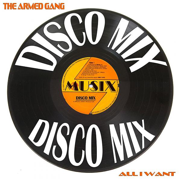 Постер альбома All I Want (Disco Mix)