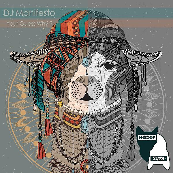 DJ Manifesto - Your Guess Why? (Original Mix)