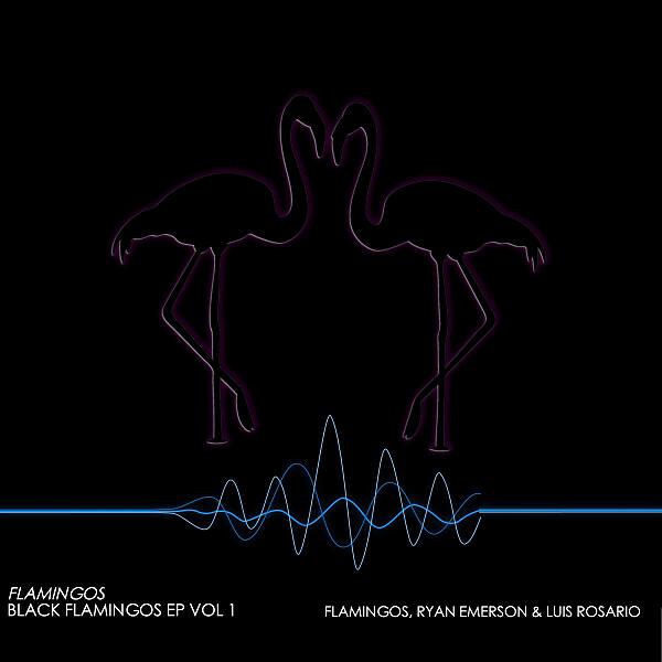 Минусовка черный. Rock, Rock, Rock the Flamingos