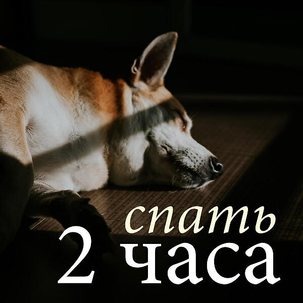 Постер альбома спать 2 часа: расслабляющая музыка индии и звуки природы