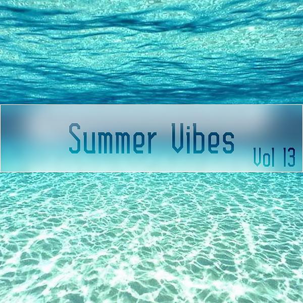 Постер альбома Summer Vibes,Vol.13