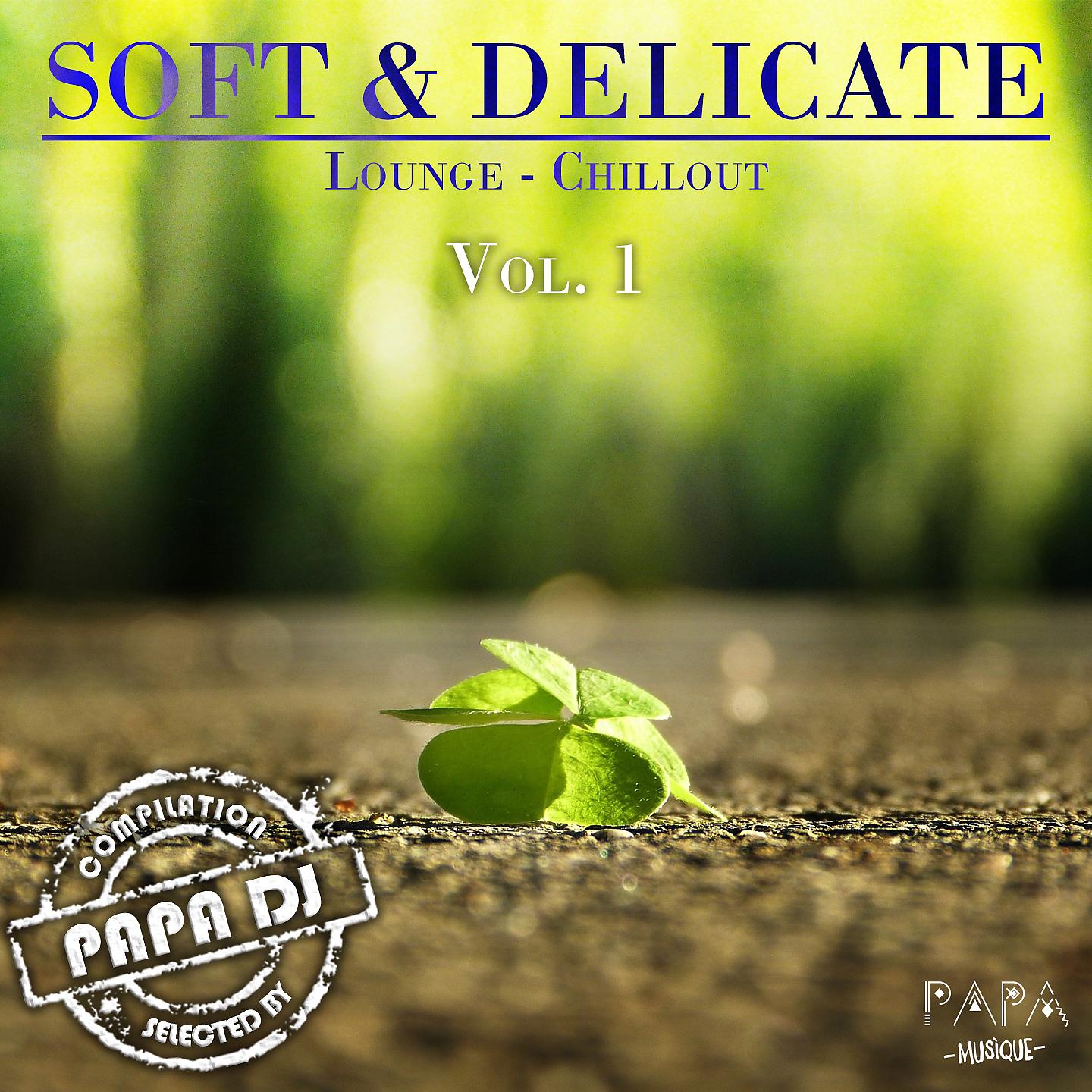 Постер альбома Soft & Delicate Lounge-Chillout, Vol. 1