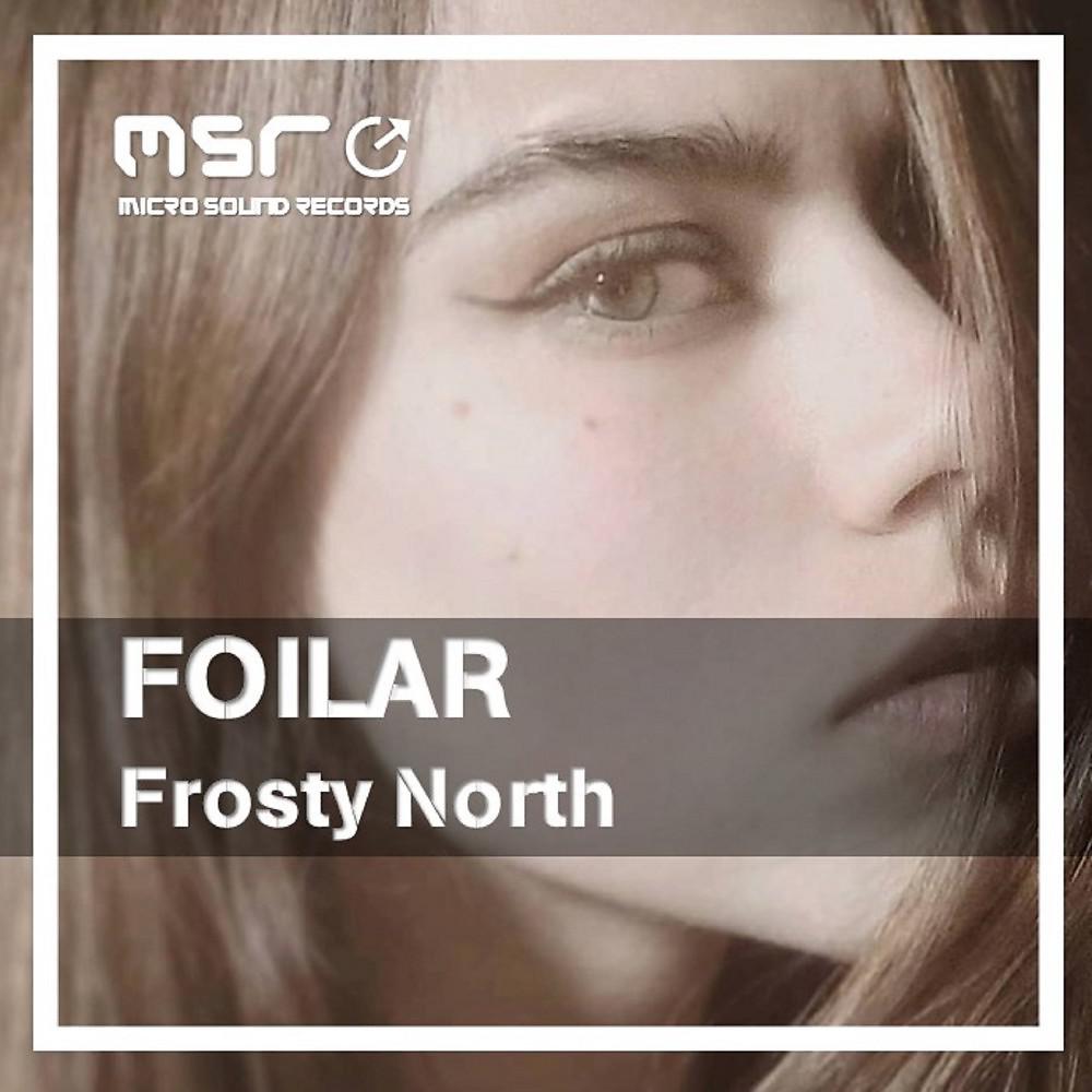 Постер альбома Frosty North