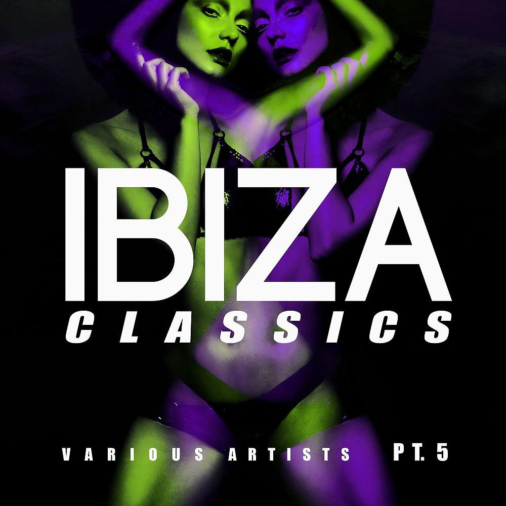 Постер альбома Ibiza Classics, Pt. 5
