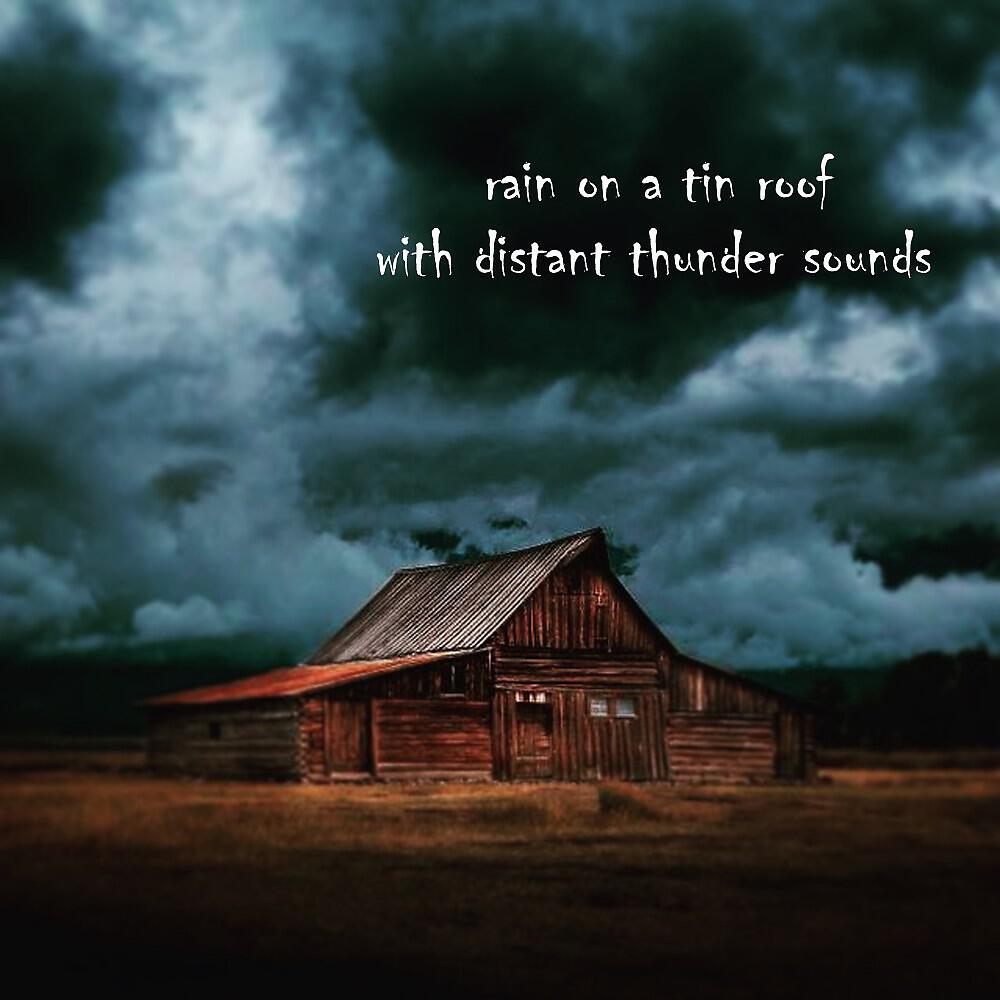Thunderstorm Global Project - Rain on a Tin Roof with Distant Thunder Sounds, Pt. 21