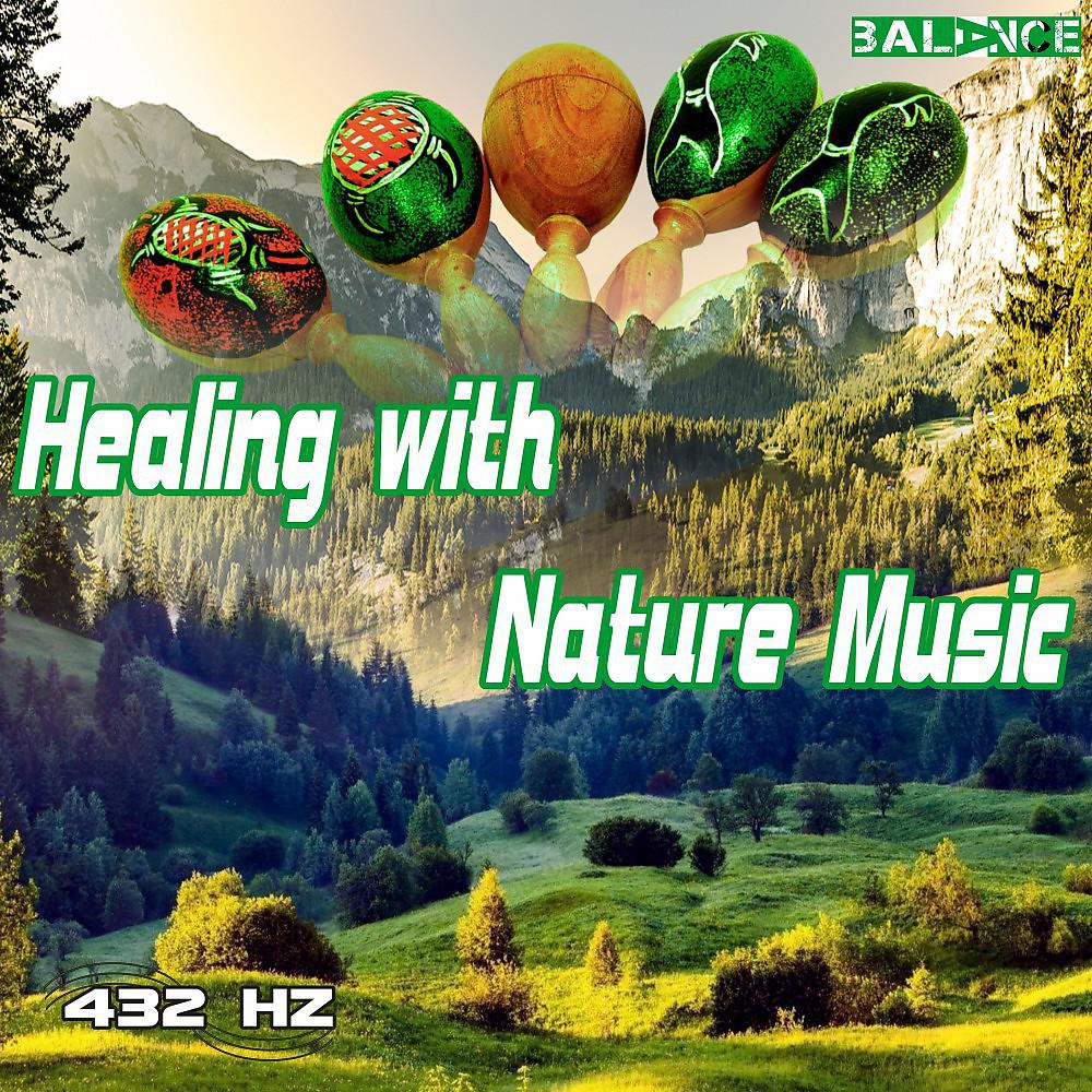 Постер альбома Healing with Nature Music