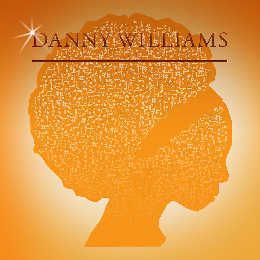 Danny Williams - Beyond Reproach