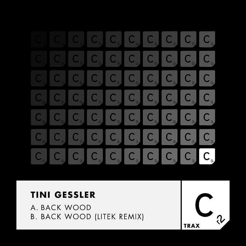 Tini Gessler - Back Wood (Litek Remix - Radio Edit)