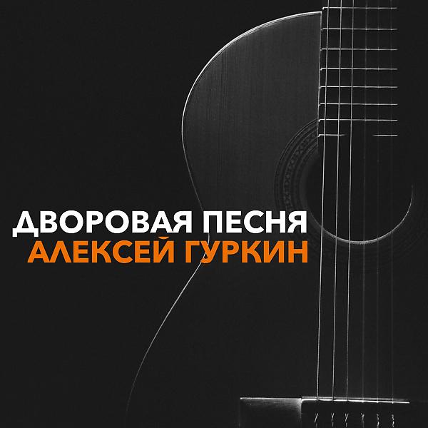 Постер альбома Дворовая песня