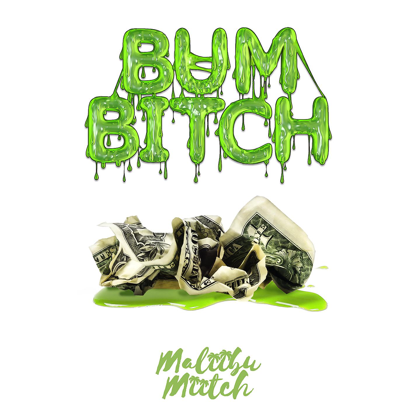 Постер альбома Bum Bitch