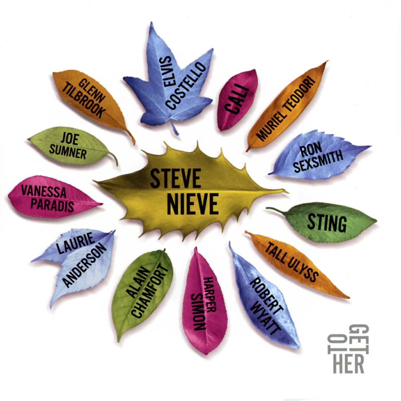 Steve Nieve - Voue A L'Oubli