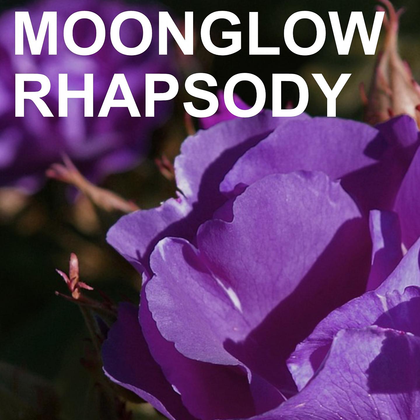 Постер альбома Moonglow Rhapsody