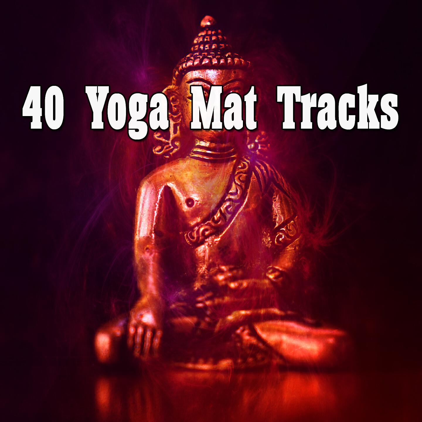 Meditation Zen Master - Echoes of Awareness