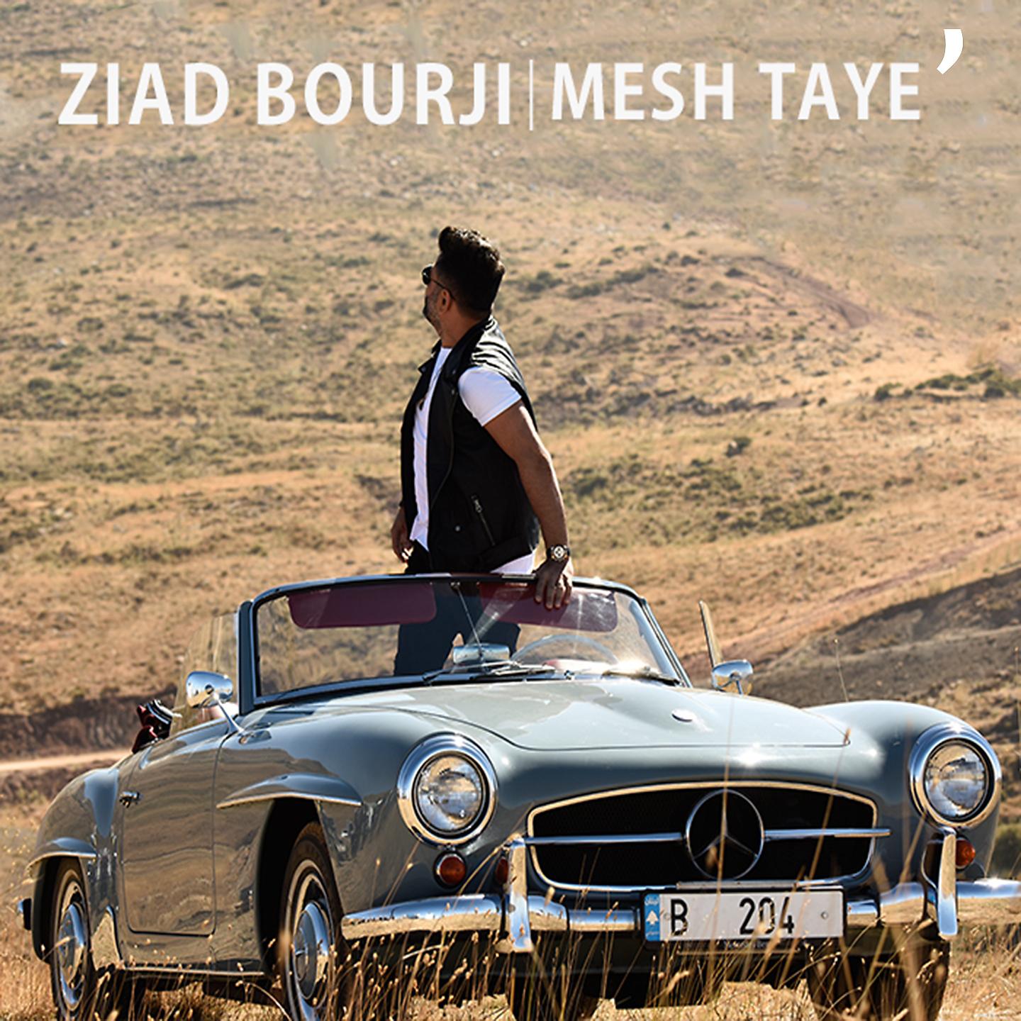 Постер альбома Mesh Taye'