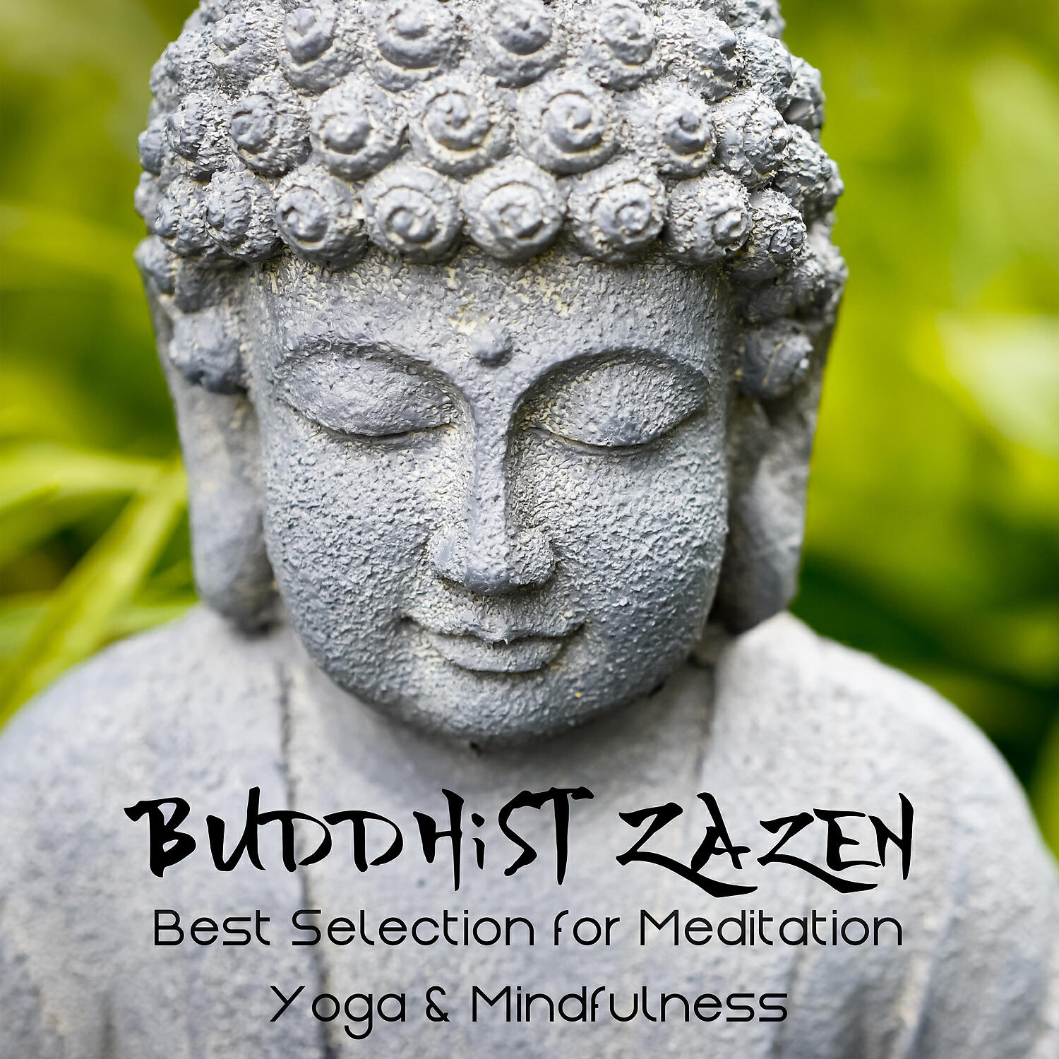 Buddhism Academy - Buddhist Temple