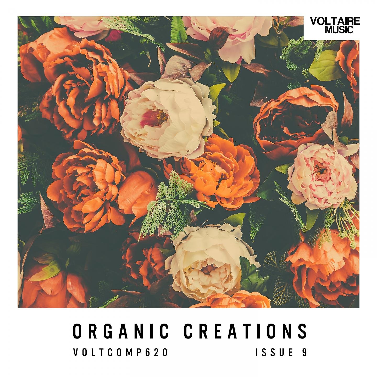 Постер альбома Organic Creations Issue 9
