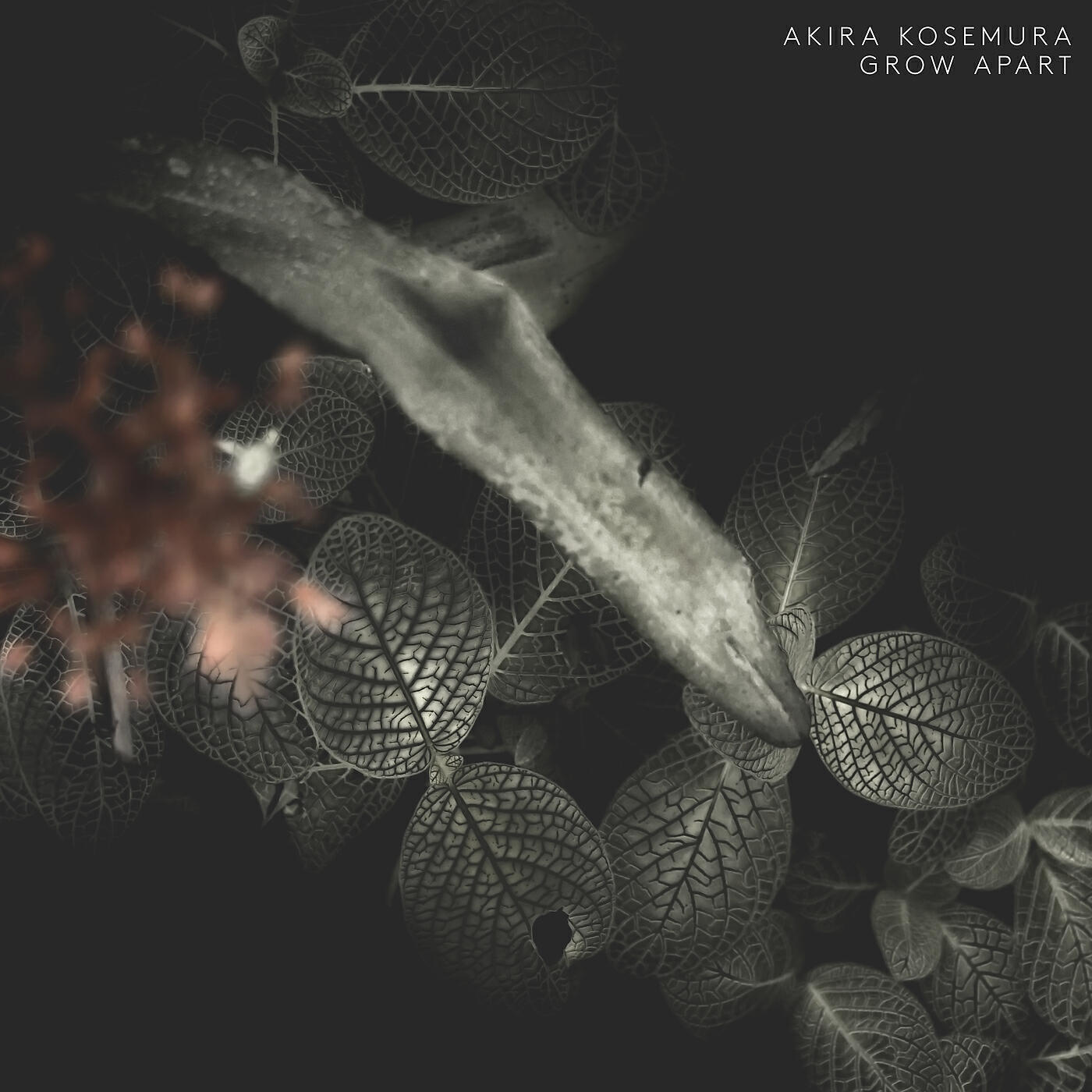 Akira Kosemura - Kosemura: Grow Apart