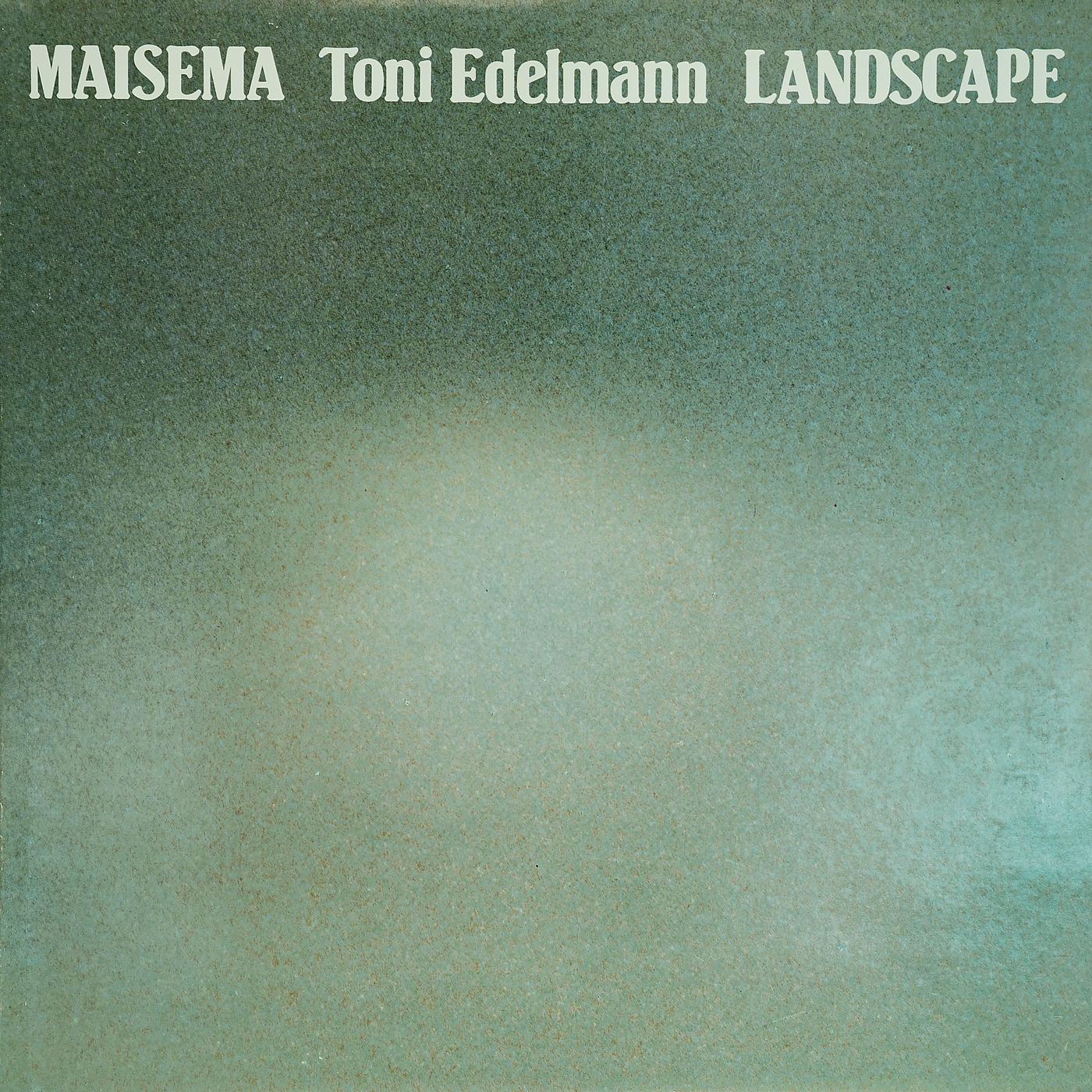 Постер альбома Maisema – Landscape