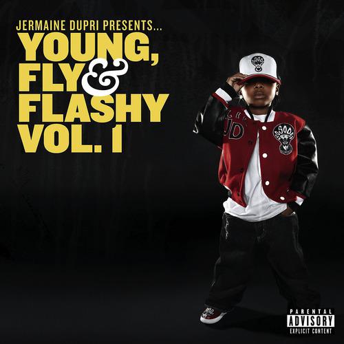 Постер альбома Jermaine Dupri Presents... Young, Fly & Flashy Vol. 1