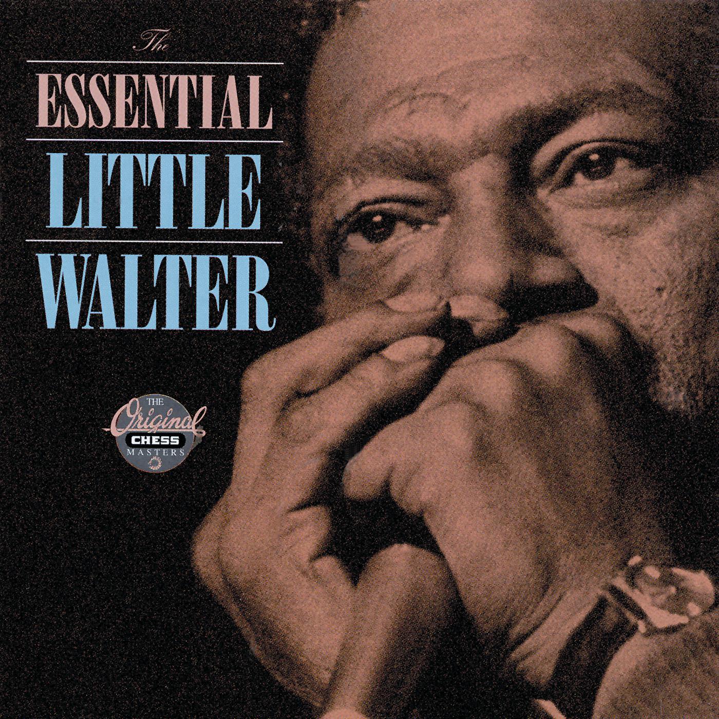 Постер альбома The Essential Little Walter