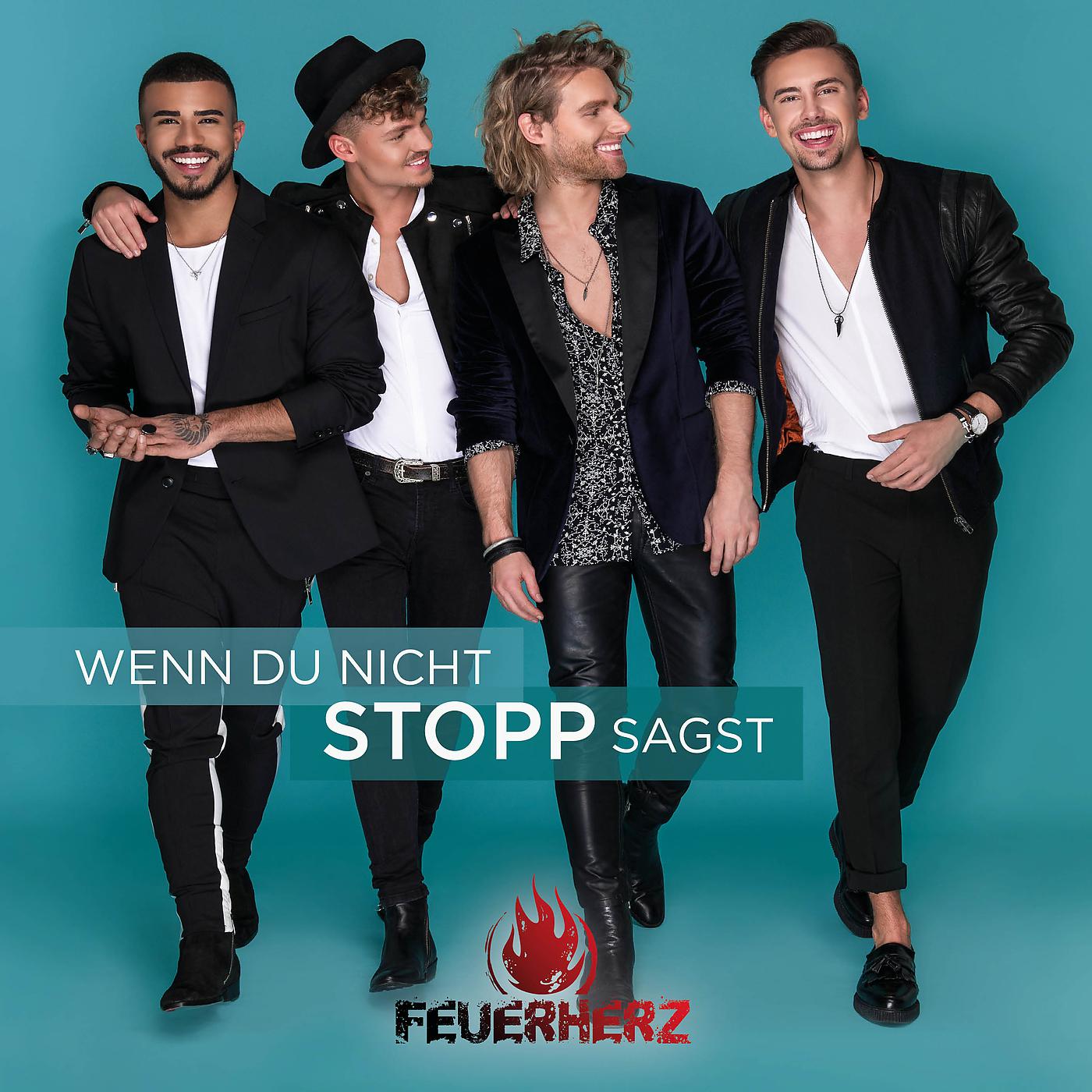 Постер альбома Wenn du nicht Stopp sagst