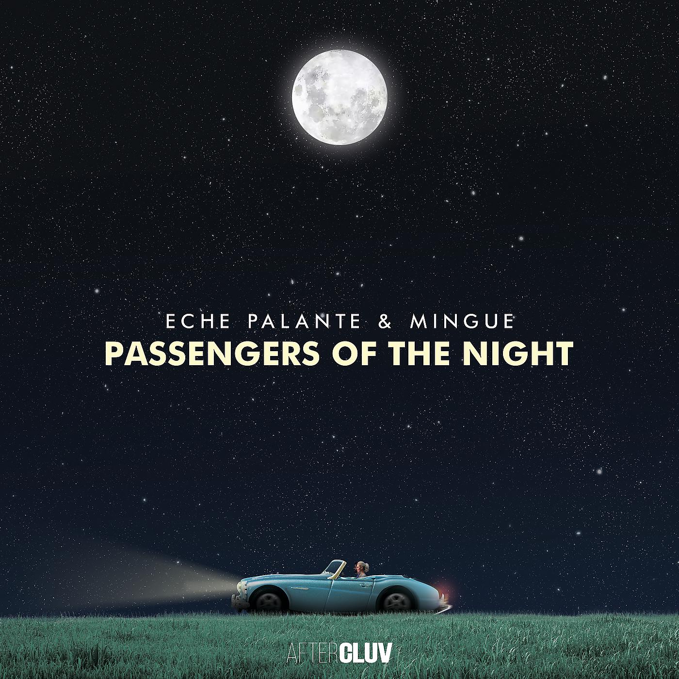 Постер альбома Passengers Of The Night