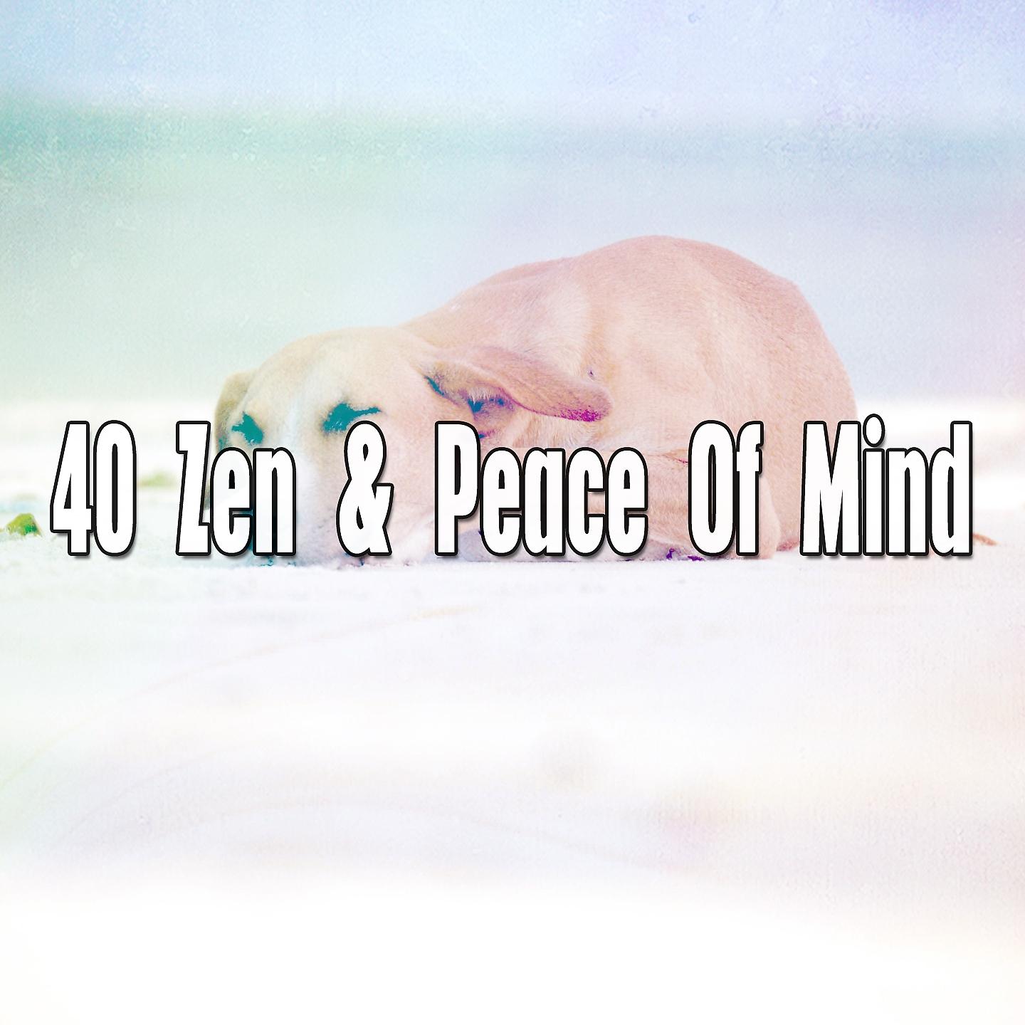 Постер альбома 40 Zen & Peace Of Mind