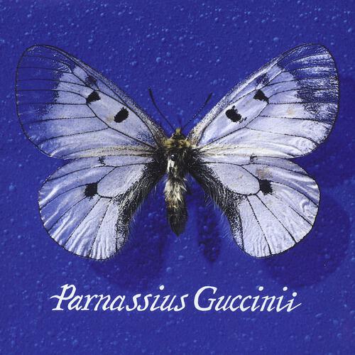 Francesco Guccini - Nostra Signora Dell'Ipocrisia