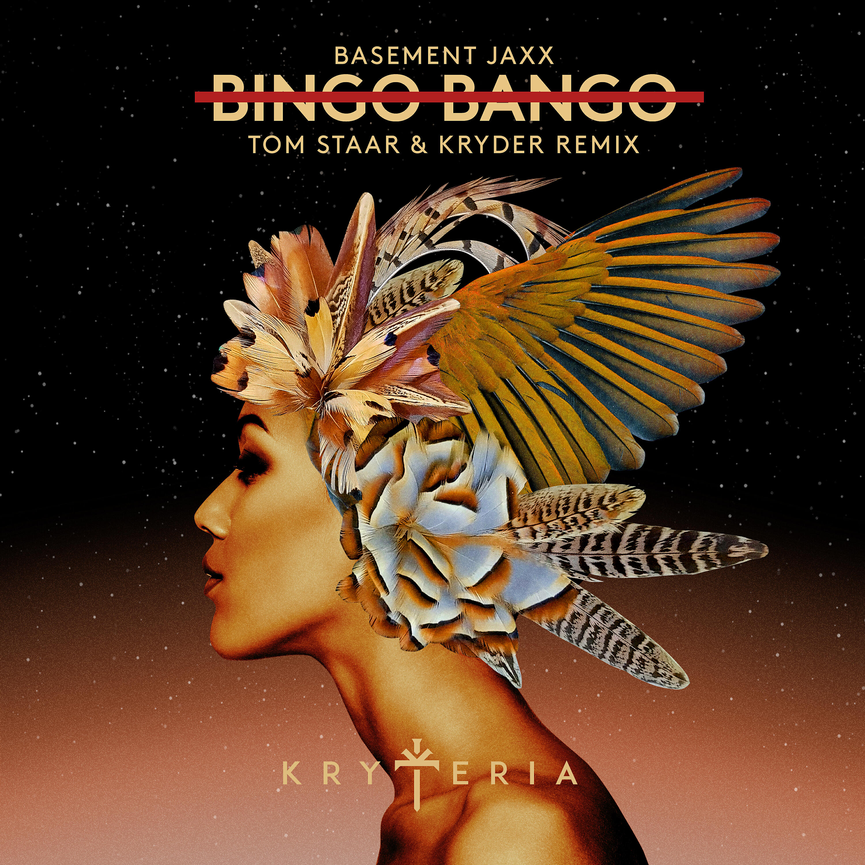 Basement Jaxx - Bingo Bango (Tom Staar & Kryder Remix)