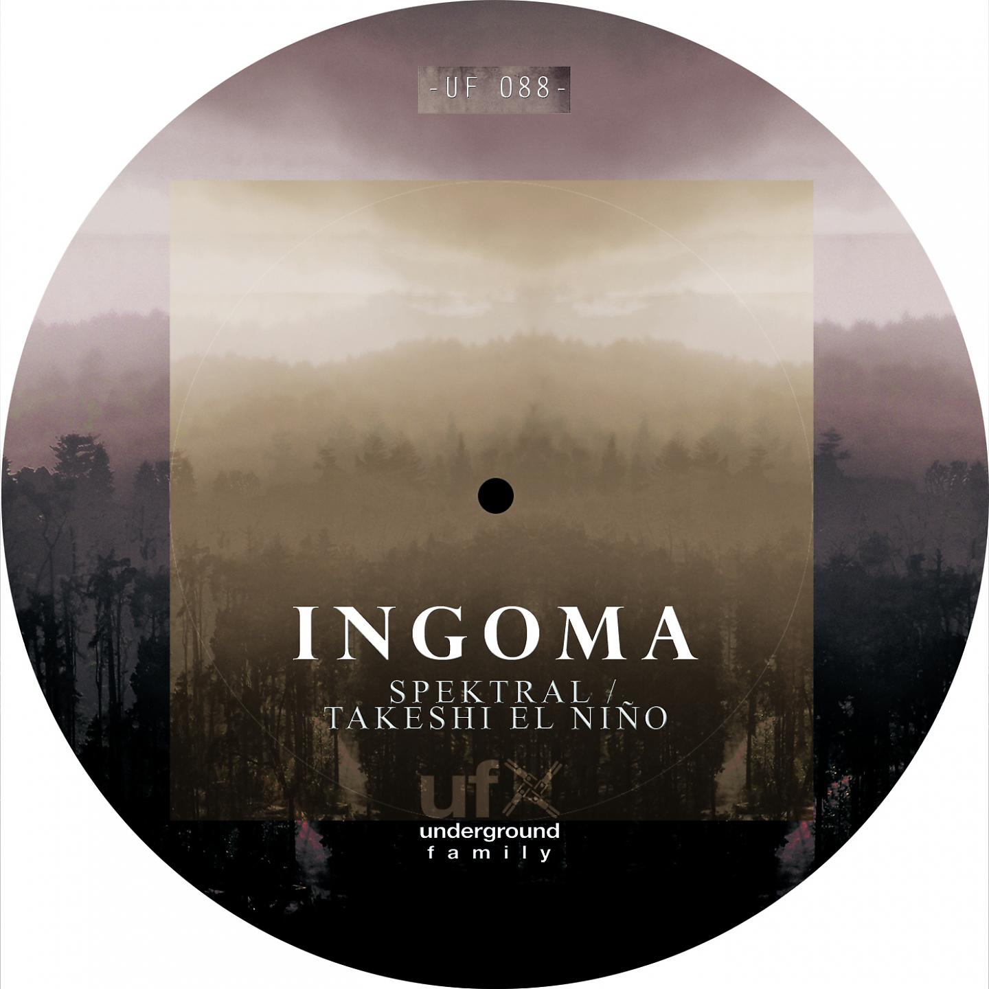 Постер альбома Ingoma