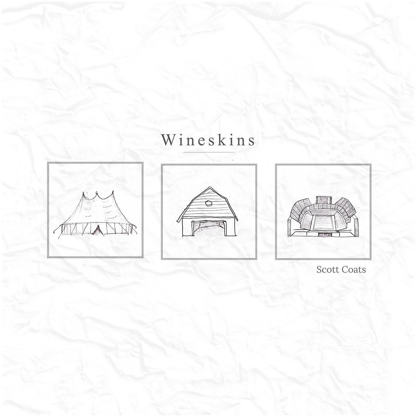 Постер альбома Wineskins