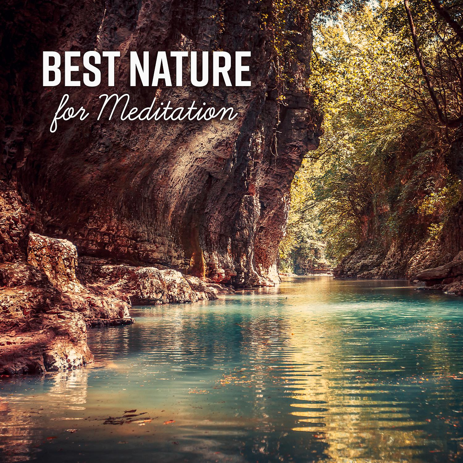 Постер альбома Best Nature for Meditation