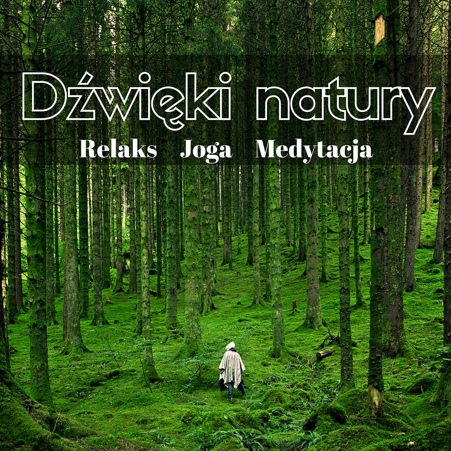 Naturalny Relaks - Czas na Spacer (Bialy Szum)