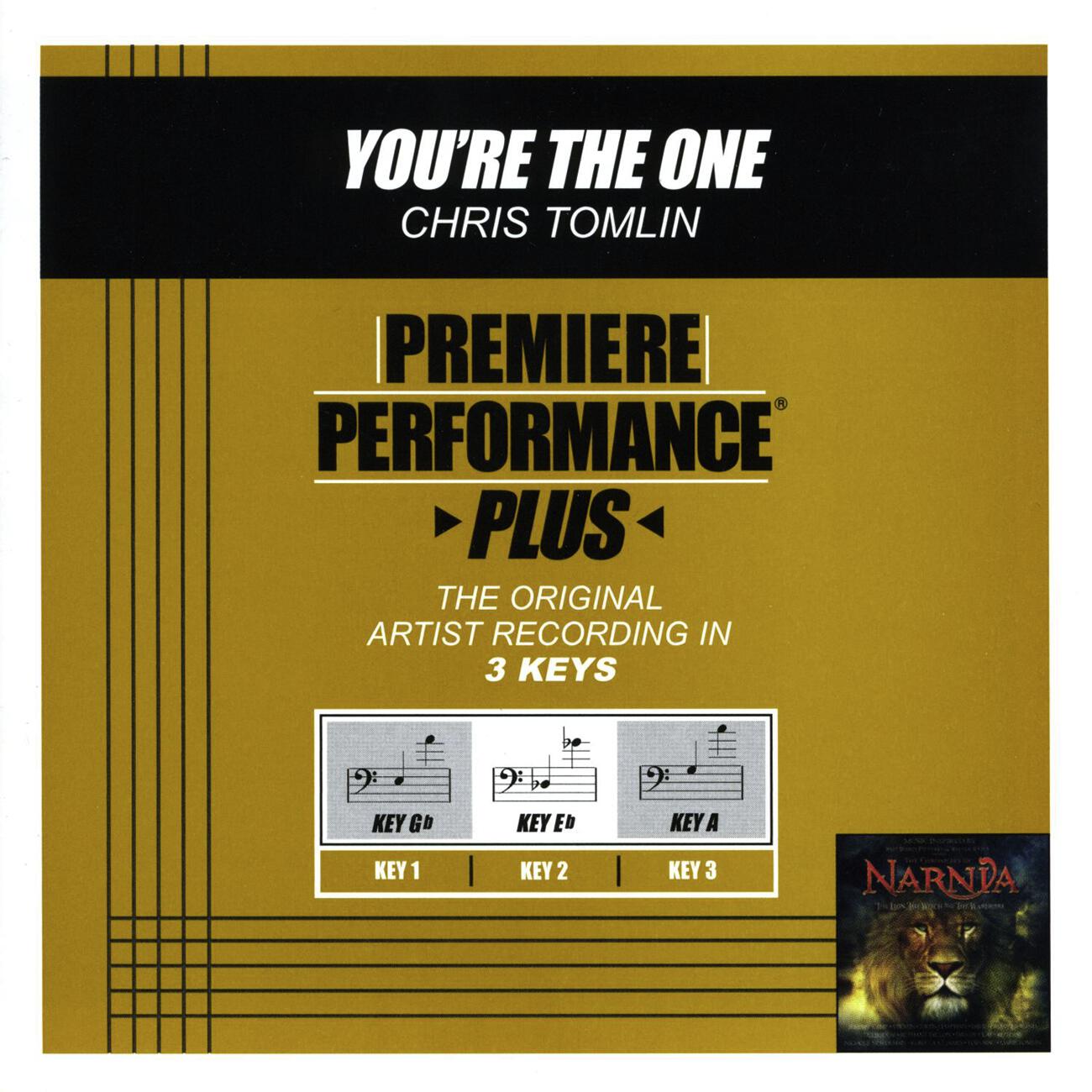 Chris Tomlin - You're The One (Performance Track In Key Of A)